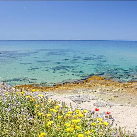 Bilo Sup Appartement