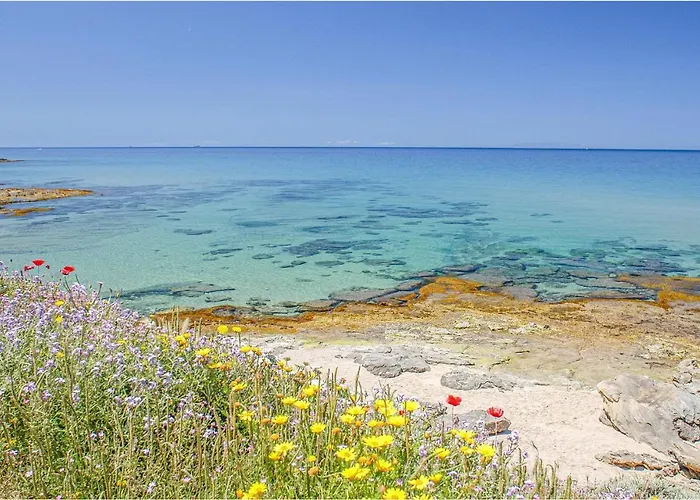 Bilo Sup Appartement